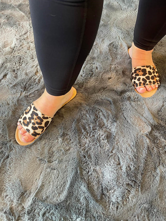 Leopard Print Rollasole Slides/Shoes